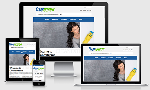 Clean Extreme website design by Vision Web